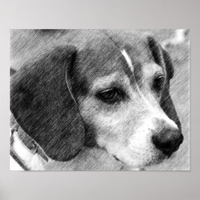 Poster Crayon visage chien beagle Art #2 (Devant)