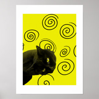 Poster Crazy Cat