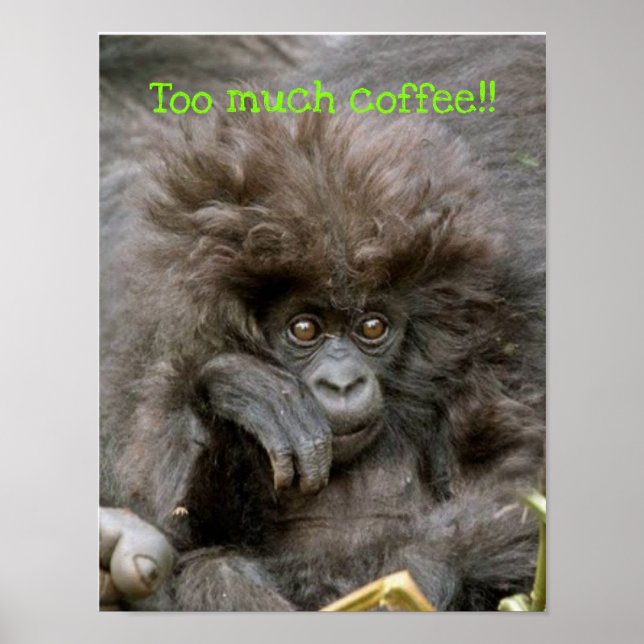 Poster Crazy Hair Monkey Trop d'affiche de café (Devant)
