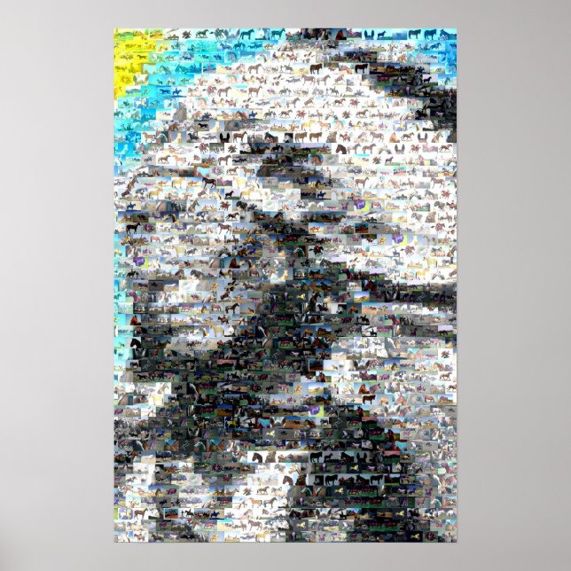 Poster Crazy Horse Indien (Devant)