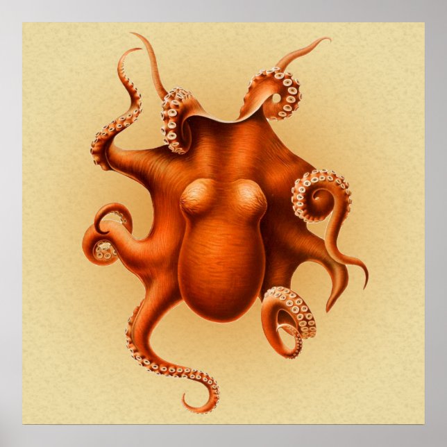 Poster Créature du monstre de la mer d'Octopus Cephalapod (Devant)