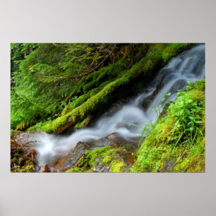 Poster Creek dans le parc national du Mont-Rainier