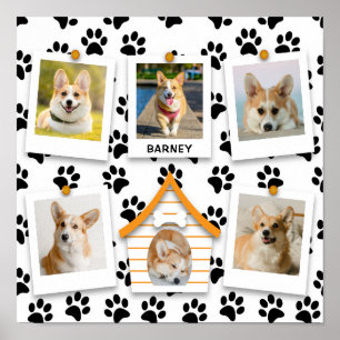 Poster Créez Votre Propre Maison de Chien et Nom en Colla