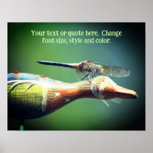 Poster Créez votre propre texte Dragonfly Nature