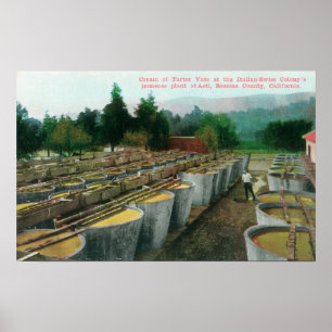 Poster Crème de Tartar Vats Vue à Colon Italien-Suisse