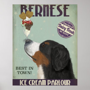 Poster Crème glacée bernoise