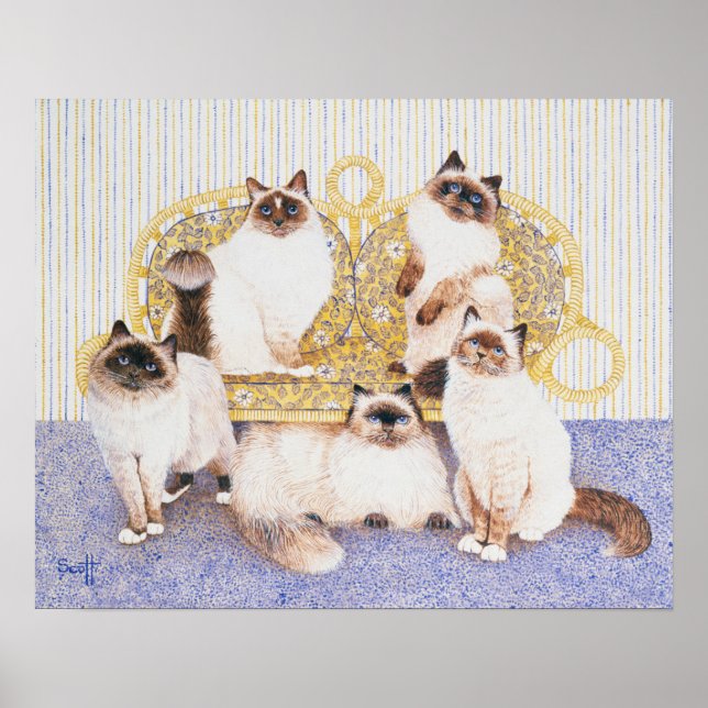 Poster Crèmes au chocolat (Devant)