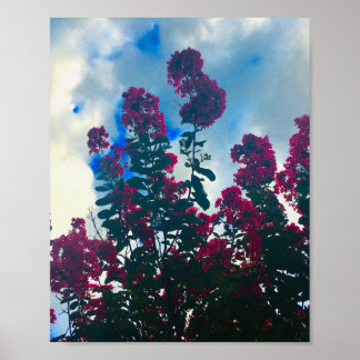 Poster crepe myrtle on a cloudy day