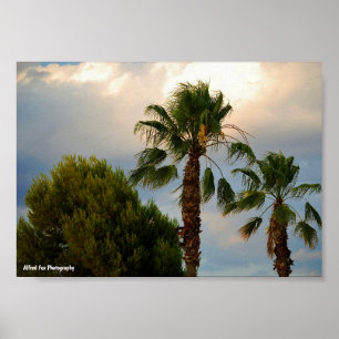 Poster Crépuscule de palmiers tropicaux