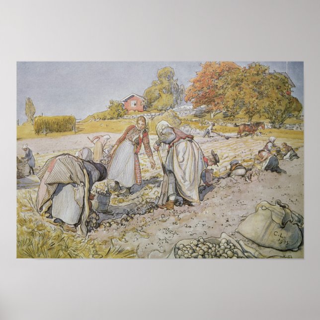 Poster Creusage de pommes de terre, 1905 (Devant)