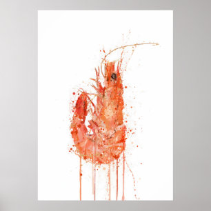 Poster Crevette