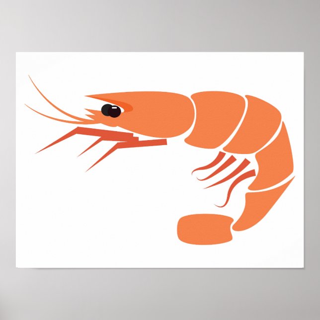 Poster crevettes (Devant)