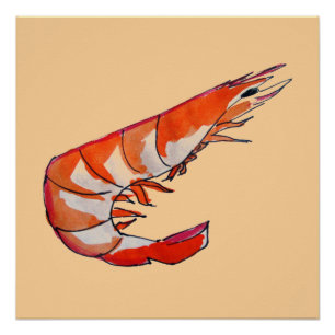 Poster Crevettes crevettes illustration de l'art des frui