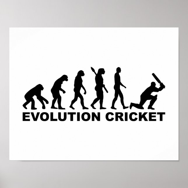 Poster Cricket de l'évolution (Devant)