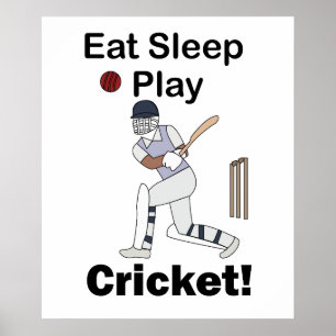 Poster Cricket Sports Manger Dormir Jouer Cricket