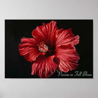 Poster Crimson Majesty : l'hibiscus audacieux