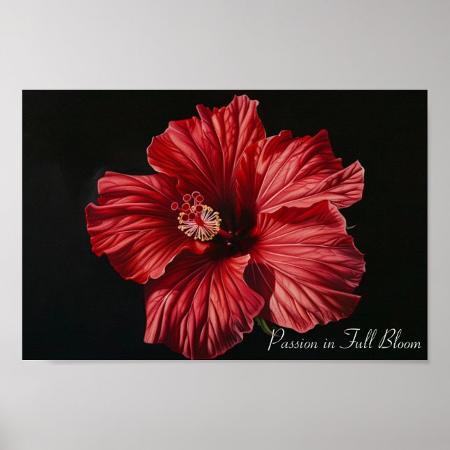 Poster Crimson Majesty : l'hibiscus audacieux (Devant)