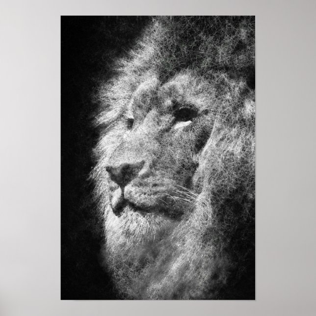 Poster crinière de lion noir et blanc fine ligne art (Devant)