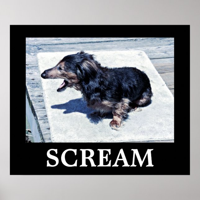 Poster Cris (Devant)