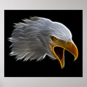 Poster Cris American Bald Eagle Head