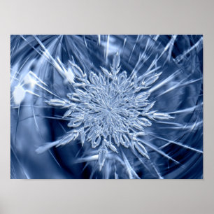 Poster Cristal de glace de Snowflake