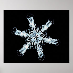 Poster Cristal stellaire de neige