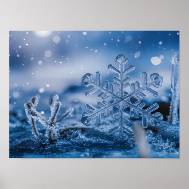 Poster Cristaux de glace de flocon de neige éthéré tomban (Devant)