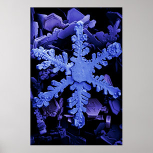 Poster Cristaux de neige