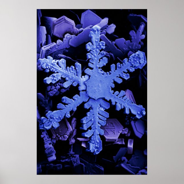Poster Cristaux de neige (Devant)