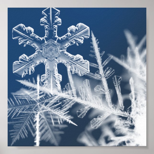 Poster cristaux de neige (Devant)