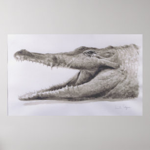 Poster Crocodile 2005