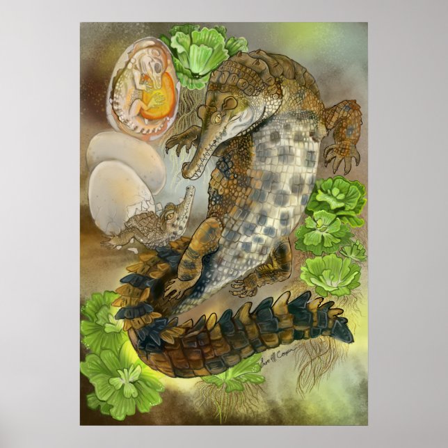 Poster Crocodile grossier (Devant)