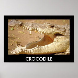 Poster crocodile Jaws de JungleWalk.com