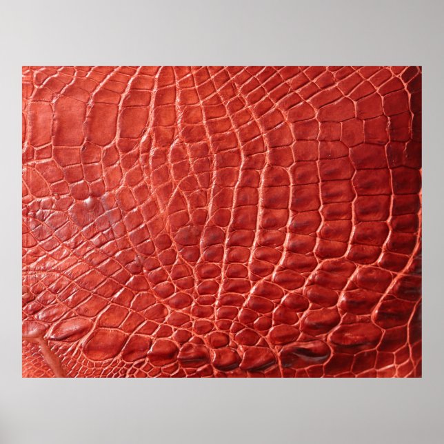 Poster Crocodile texture cuir (Devant)