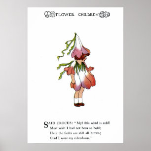 Poster Crocus