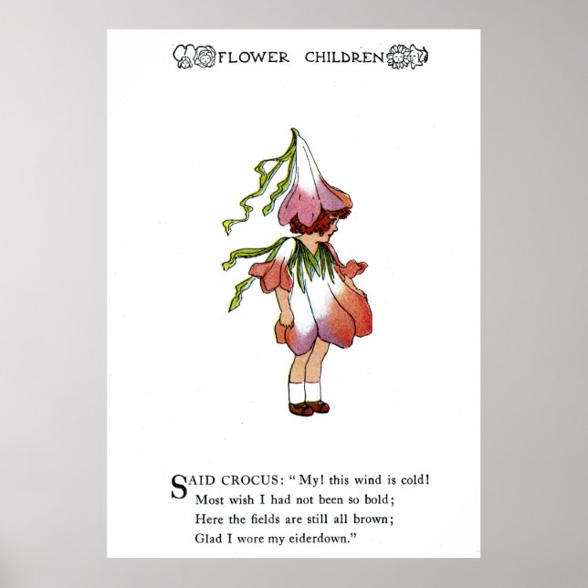 Poster Crocus (Devant)