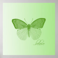Croire la chaux papillon