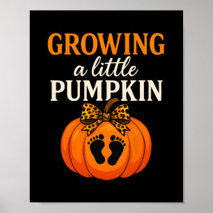 Poster Croissance d'une petite citrouille de Thanksgiving