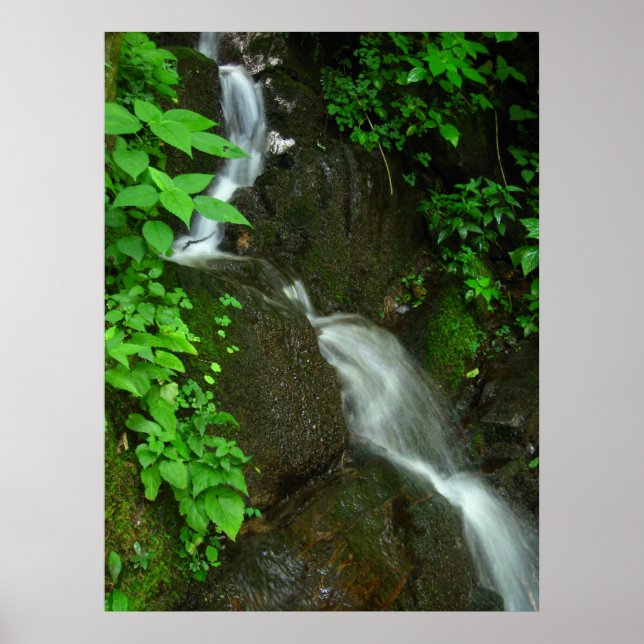 Poster Croissance graduelle (Devant)