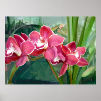 Poster Croissant du Cymbidium