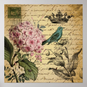 Poster cropt hydrangea bird french botanical