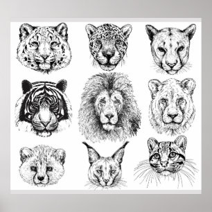 Poster Croquis à la main Portraits d'animaux