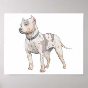 Poster Croquis blanc d'aquarelle de chien de pitbull