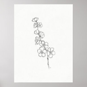 Poster Croquis Chercher Blossom