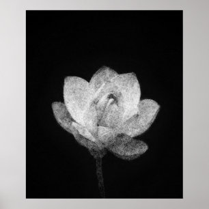 Poster croquis de bulle de lotus en fleurs