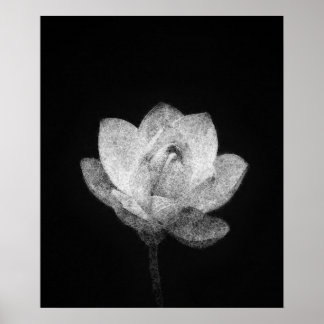 Poster croquis de bulle de lotus en fleurs