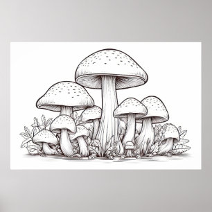 Poster Croquis de champignons