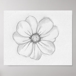 Poster Croquis de fleurs