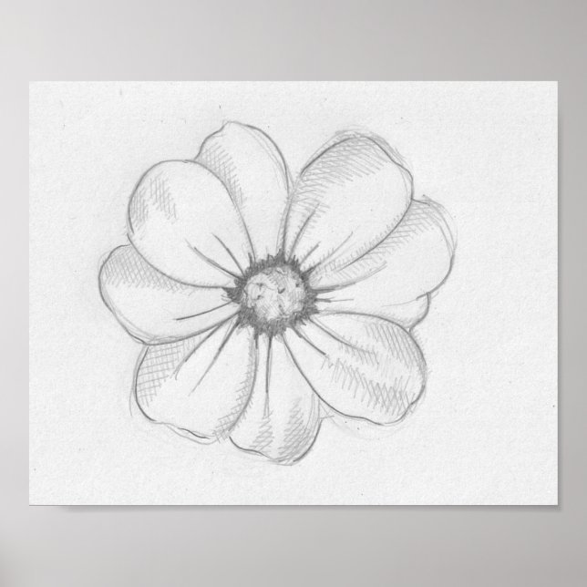 Poster Croquis de fleurs (Devant)