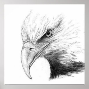 POSTER CROQUIS D'EAGLE